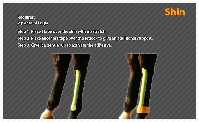 ares clinical taping - bruise